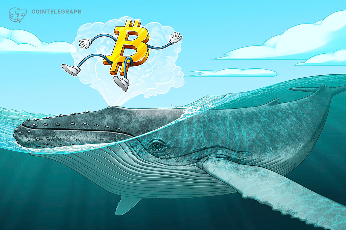 احتمال شکست بیت کوین به عنوان نهنگ ها در نزدیکی قیمت BTC احتمال شکست بیت کوین به عنوان نهنگ ها در نزدیکی قیمت BTC