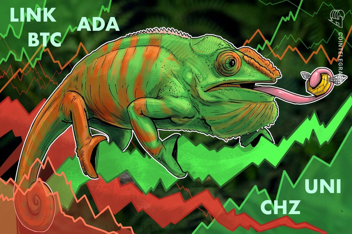 ۵ ارز دیجیتال برتر برای تماشای این هفته: BTC، ADA، UNI، LINK، CHZ ۵ ارز دیجیتال برتر برای تماشای این هفته: BTC، ADA، UNI، LINK، CHZ