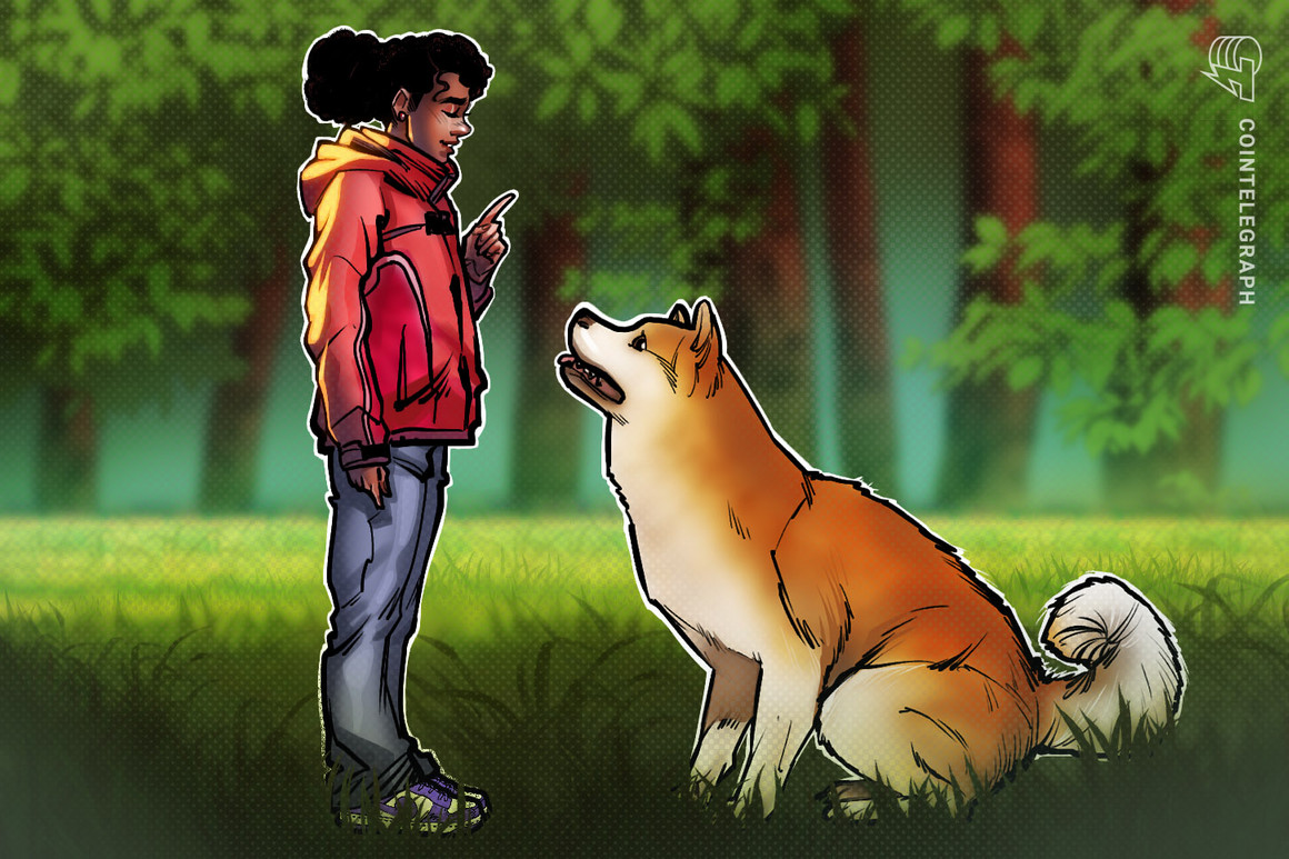 از زمان ظهور SNL ایلان ماسک، Dogecoin در برابر بیت کوین ۷۵ درصد سقوط کرده است. از زمان ظهور SNL ایلان ماسک، Dogecoin در برابر بیت کوین ۷۵ درصد سقوط کرده است.