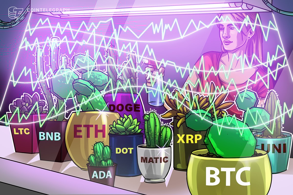 تجزیه و تحلیل قیمت ۱۲/۲۳: BTC، ETH، BNB، XRP، DOGE، ADA، MATIC، DOT، LTC، UNI تجزیه و تحلیل قیمت ۱۲/۲۳: BTC، ETH، BNB، XRP، DOGE، ADA، MATIC، DOT، LTC، UNI