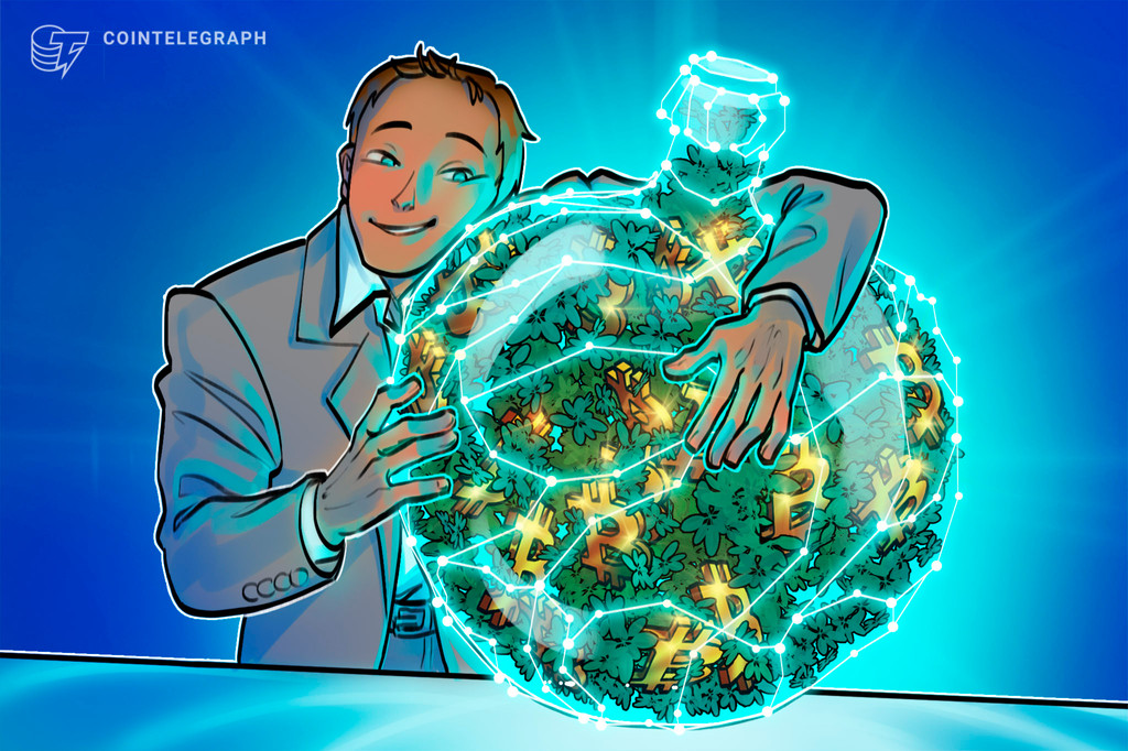 اکوسیستم Bitcoin DeFi توضیح داد اکوسیستم Bitcoin DeFi توضیح داد