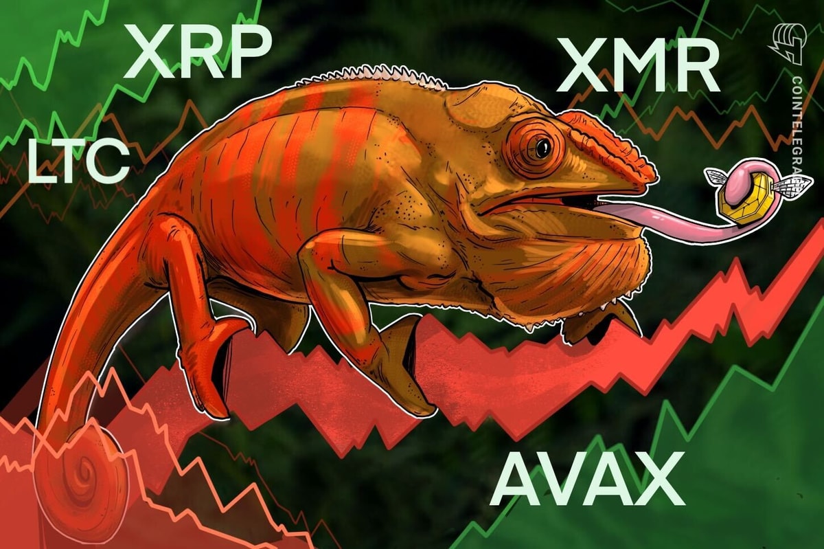 XRP، LTC، XMR و AVAX در حالی که بیت کوین برای نگه داشتن 28000 دلار مبارزه می کند، علائم صعودی را نشان می دهند.