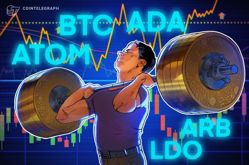بازیابی بیت کوین می تواند باعث خرید این چهار آلتکوین شود بازیابی بیت کوین می تواند باعث خرید این چهار آلتکوین شود