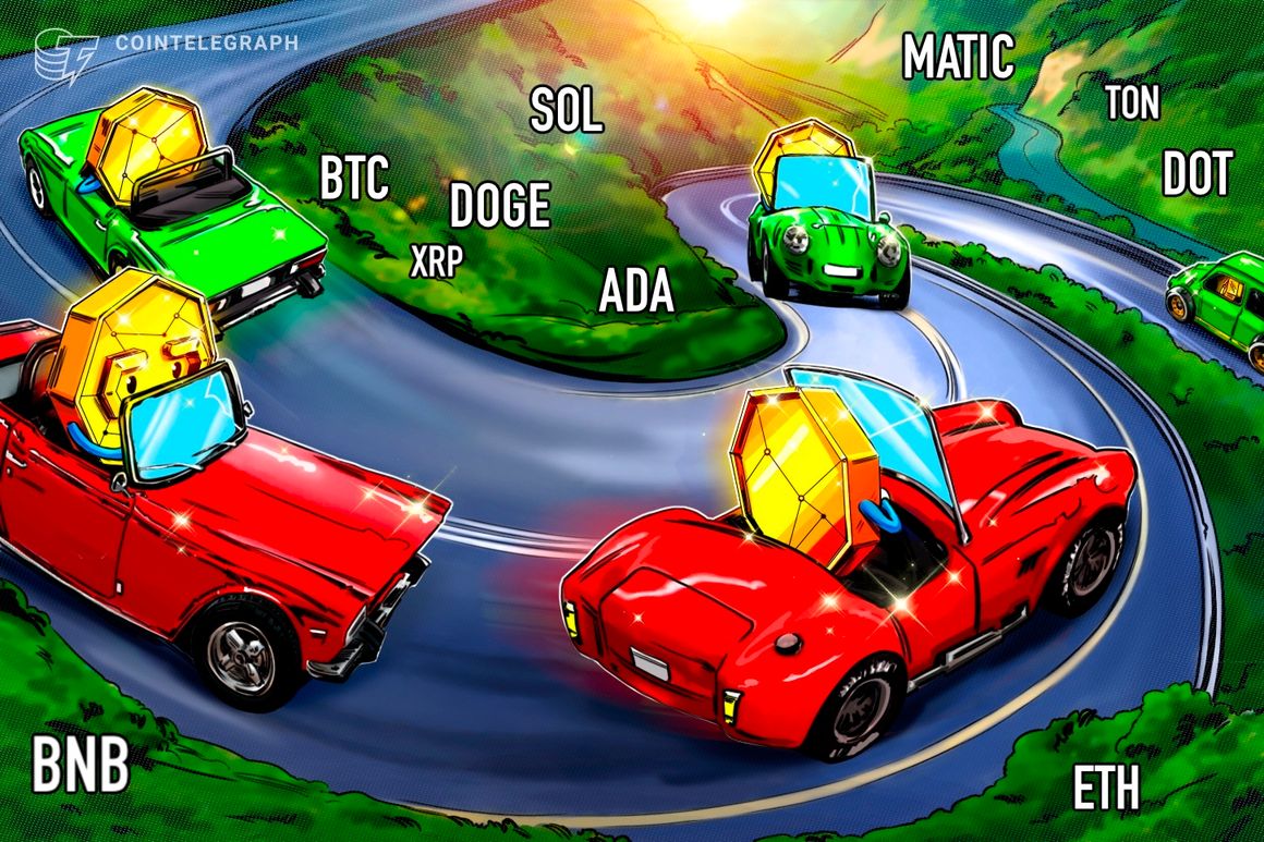 تجزیه و تحلیل قیمت 8/25: BTC، ETH، BNB، XRP، ADA، SOL، DOGE، DOT، MATIC، TON تجزیه و تحلیل قیمت 8/25: BTC، ETH، BNB، XRP، ADA، SOL، DOGE، DOT، MATIC، TON