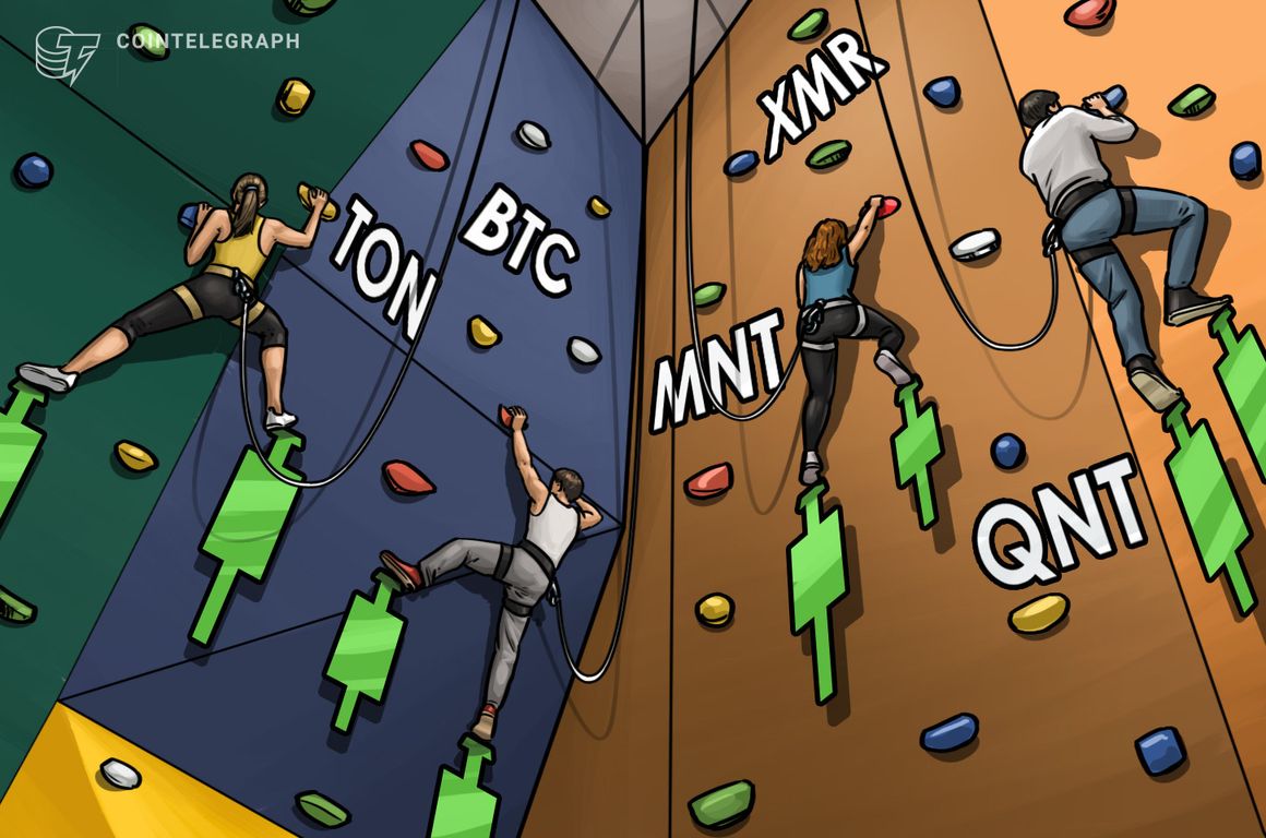 تثبیت قیمت بیت کوین تنظیمات مطلوبی را در TON، XMR، MNT، QNT ایجاد می کند تثبیت قیمت بیت کوین تنظیمات مطلوبی را در TON، XMR، MNT، QNT ایجاد می کند