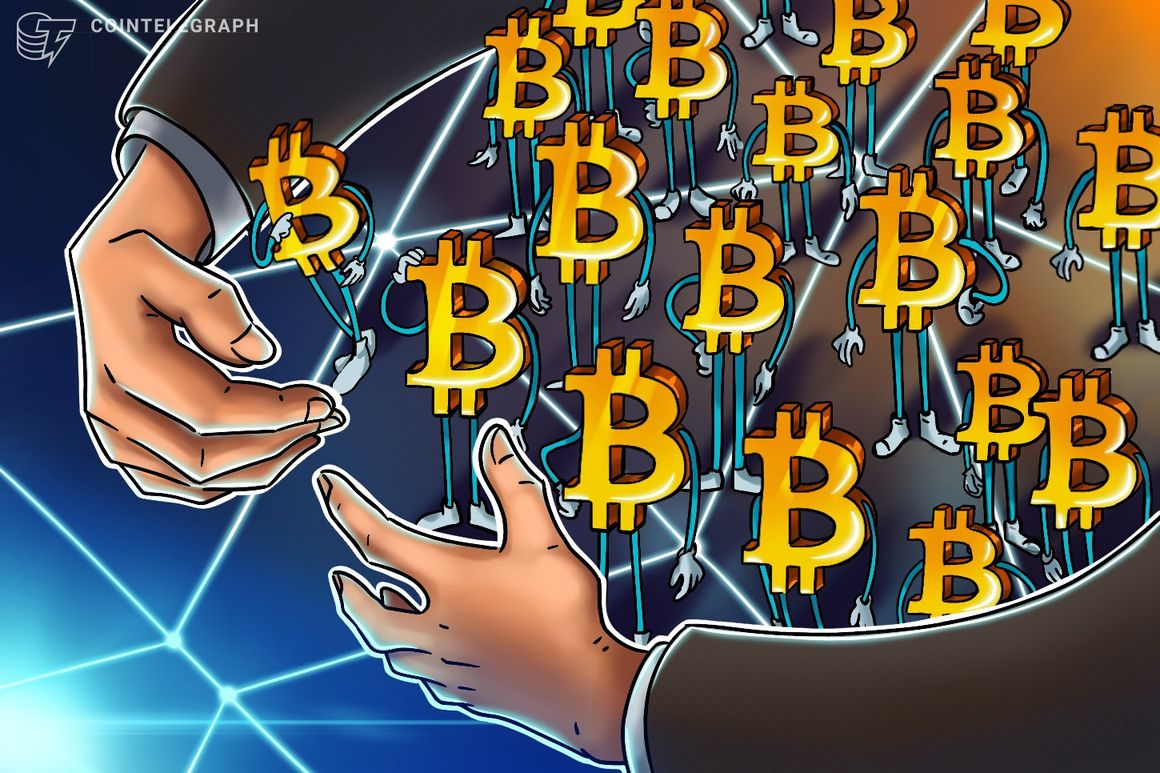 بیت کوینرها در حال انباشته شدن هستند: عرضه بیت کوین غیرفعال به بالاترین حد خود می رسد بیت کوینرها در حال انباشته شدن هستند: عرضه بیت کوین غیرفعال به بالاترین حد خود می رسد