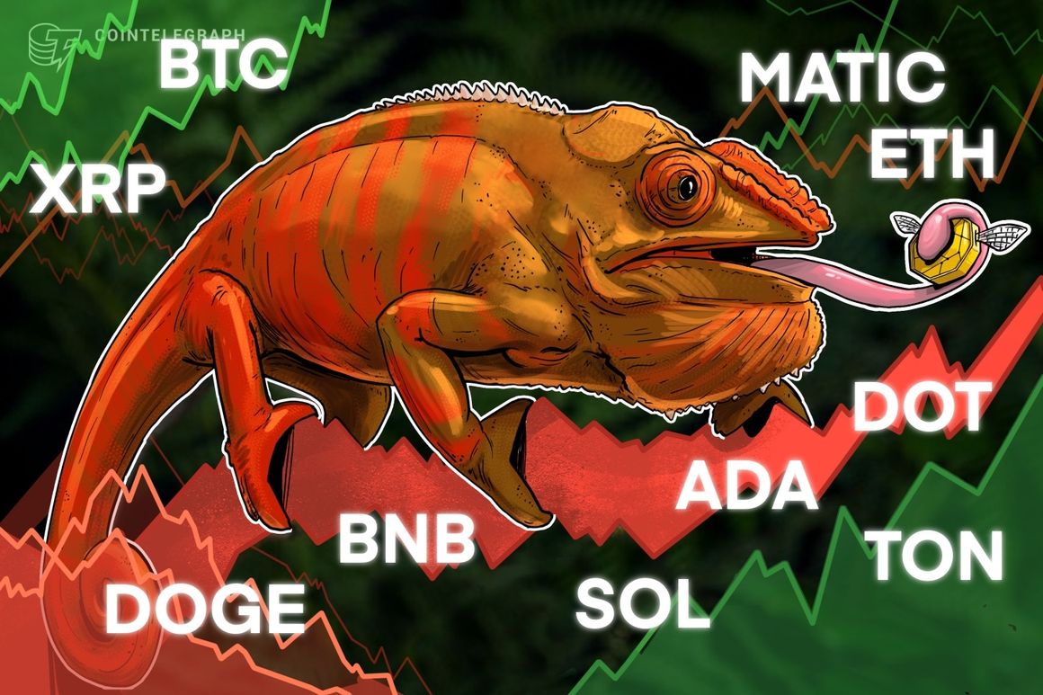 تجزیه و تحلیل قیمت 10/4: BTC، ETH، BNB، XRP، SOL، ADA، DOGE، TON، DOT، MATIC تجزیه و تحلیل قیمت 10/4: BTC، ETH، BNB، XRP، SOL، ADA، DOGE، TON، DOT، MATIC