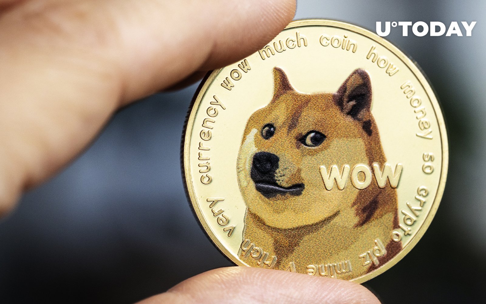Dogecoin شاهد انتقال اسرارآمیز 14 میلیون دلاری از Robinhood است