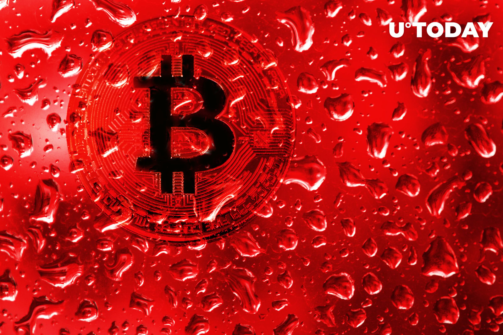 دلیل اصلی سقوط قیمت بیت کوین (BTC)