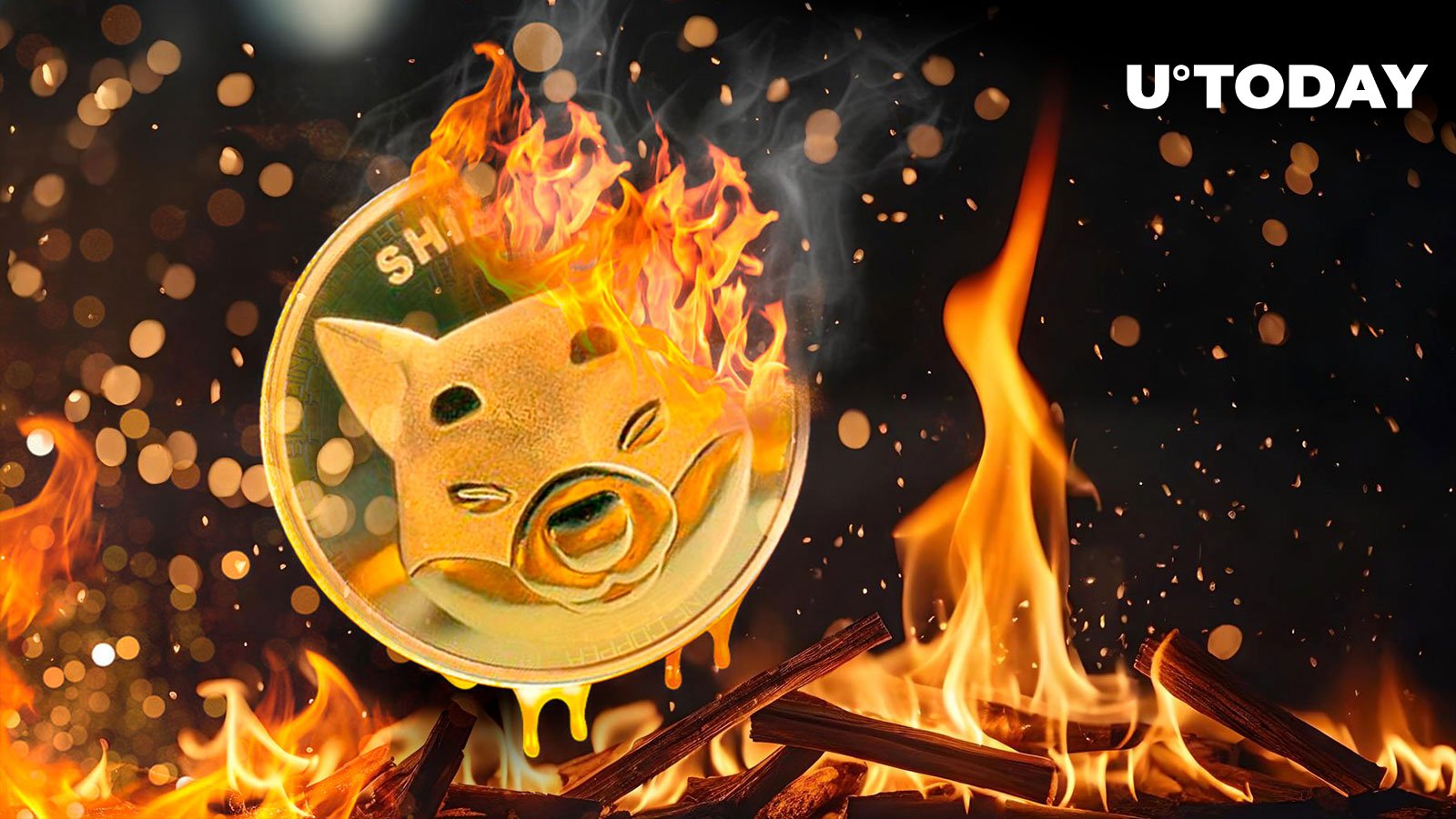 نرخ سوختگی شیبا اینو (SHIB) به 2900% افزایش یافت.  قیمت چگونه واکنش نشان خواهد داد؟