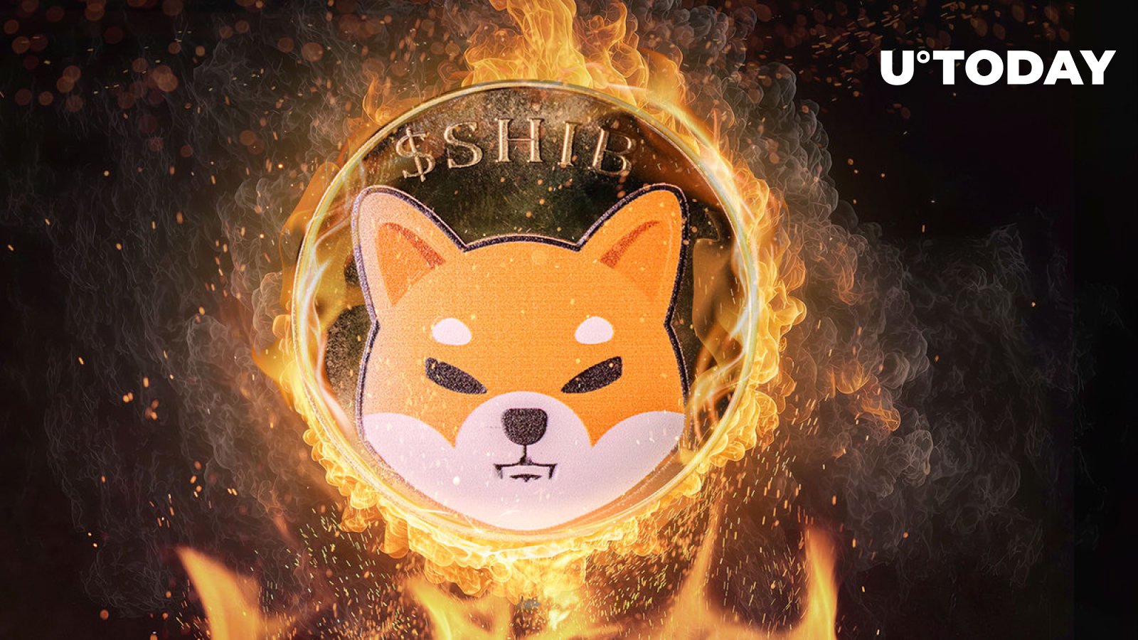 نرخ سوختگی Shiba Inu (SHIB) علیرغم کاهش قیمت SHIB، 543٪ افزایش یافت