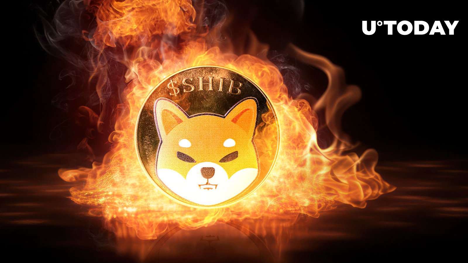 SHIB با افزایش نرخ سوختگی به 4.907% می سوزد، قیمت Shiba Inu بعدی؟
