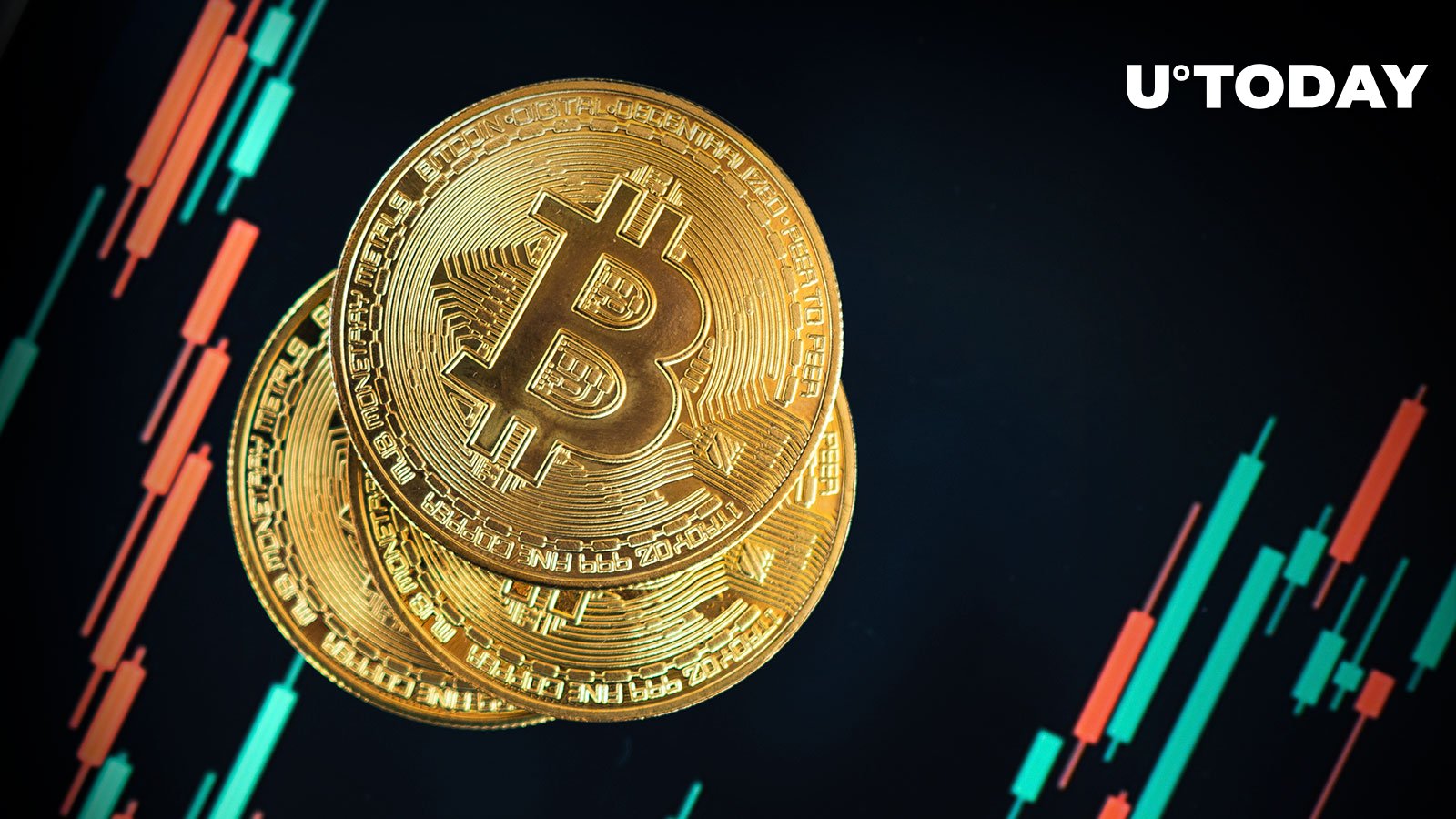 بیت کوین (BTC) با 48 درصد افزایش در آدرس های جدید، روند انباشت عظیمی را مشاهده می کند