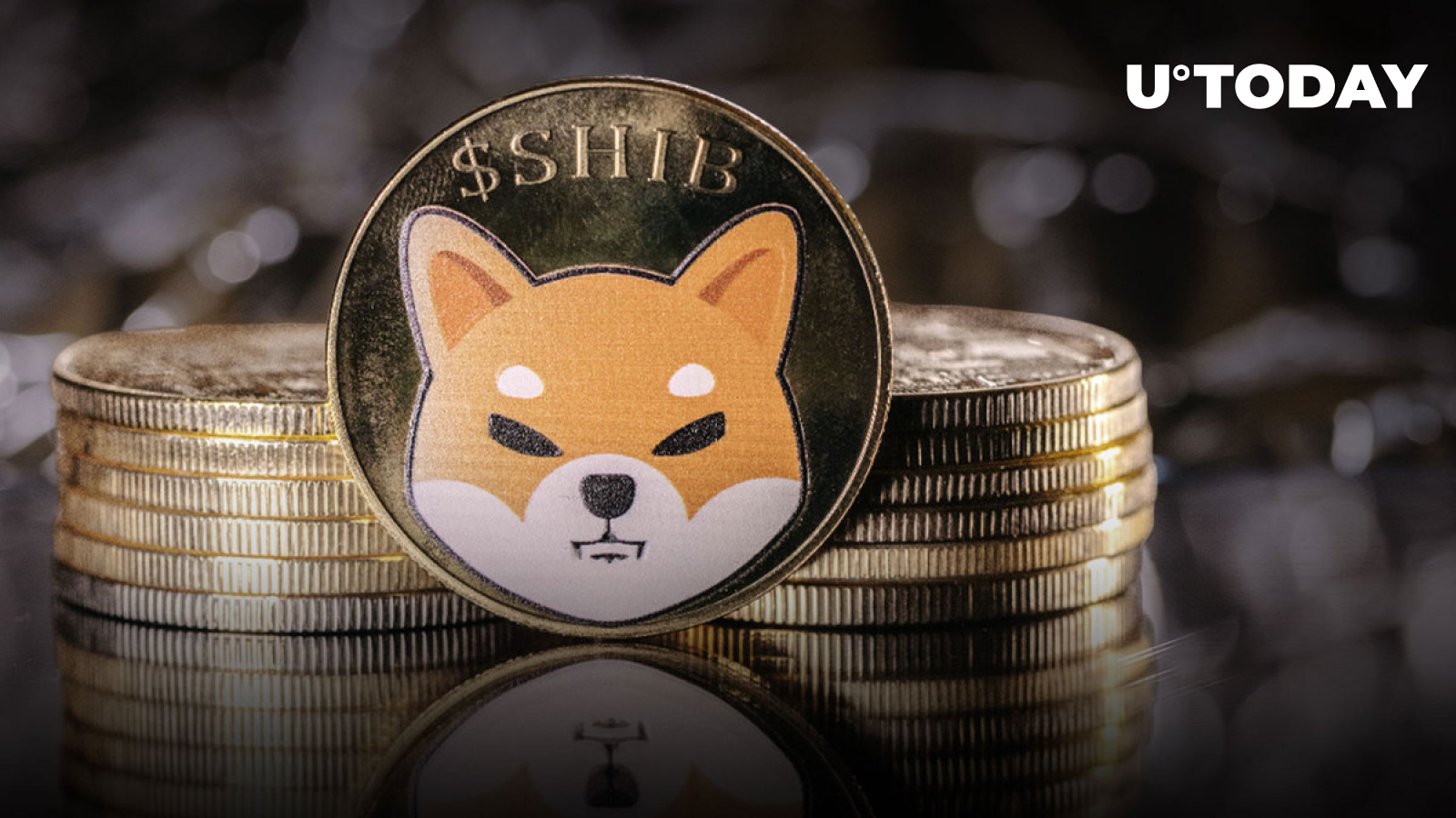 ویژگی تجاری شیبا اینو پیشرفته توسط Top Exchange راه اندازی شد ویژگی تجاری شیبا اینو پیشرفته توسط Top Exchange راه اندازی شد