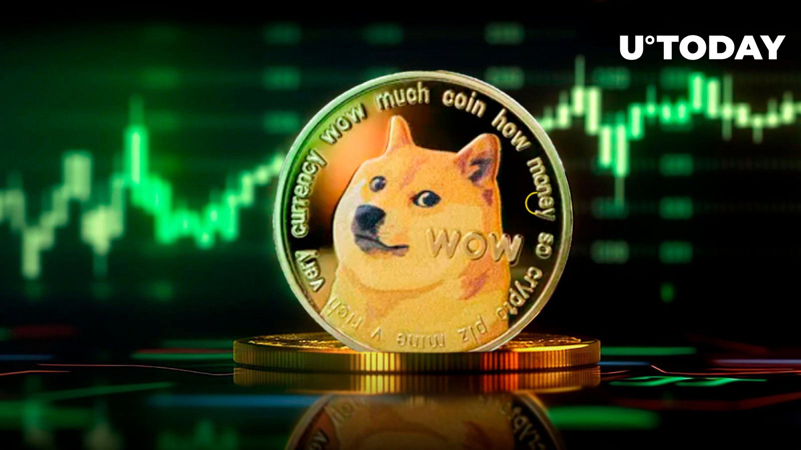 شبکه Dogecoin (DOGE) با افزایش چشمگیر 890000 آدرس جدید منفجر شد