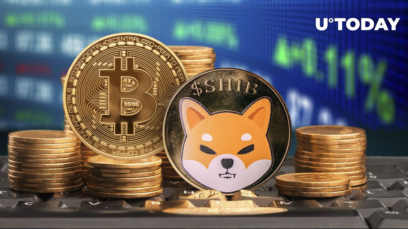 بیت کوین و شیبا اینو یک شباهت مهم دارند و این شما را شگفت زده خواهد کرد