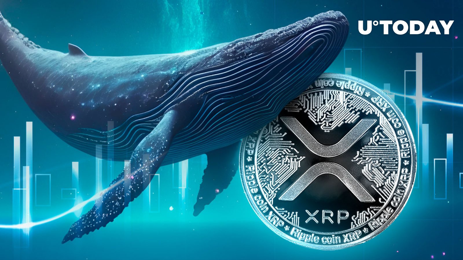 XRP شاهد فعالیت 10 میلیون دلاری غیرمعمول نهنگ است