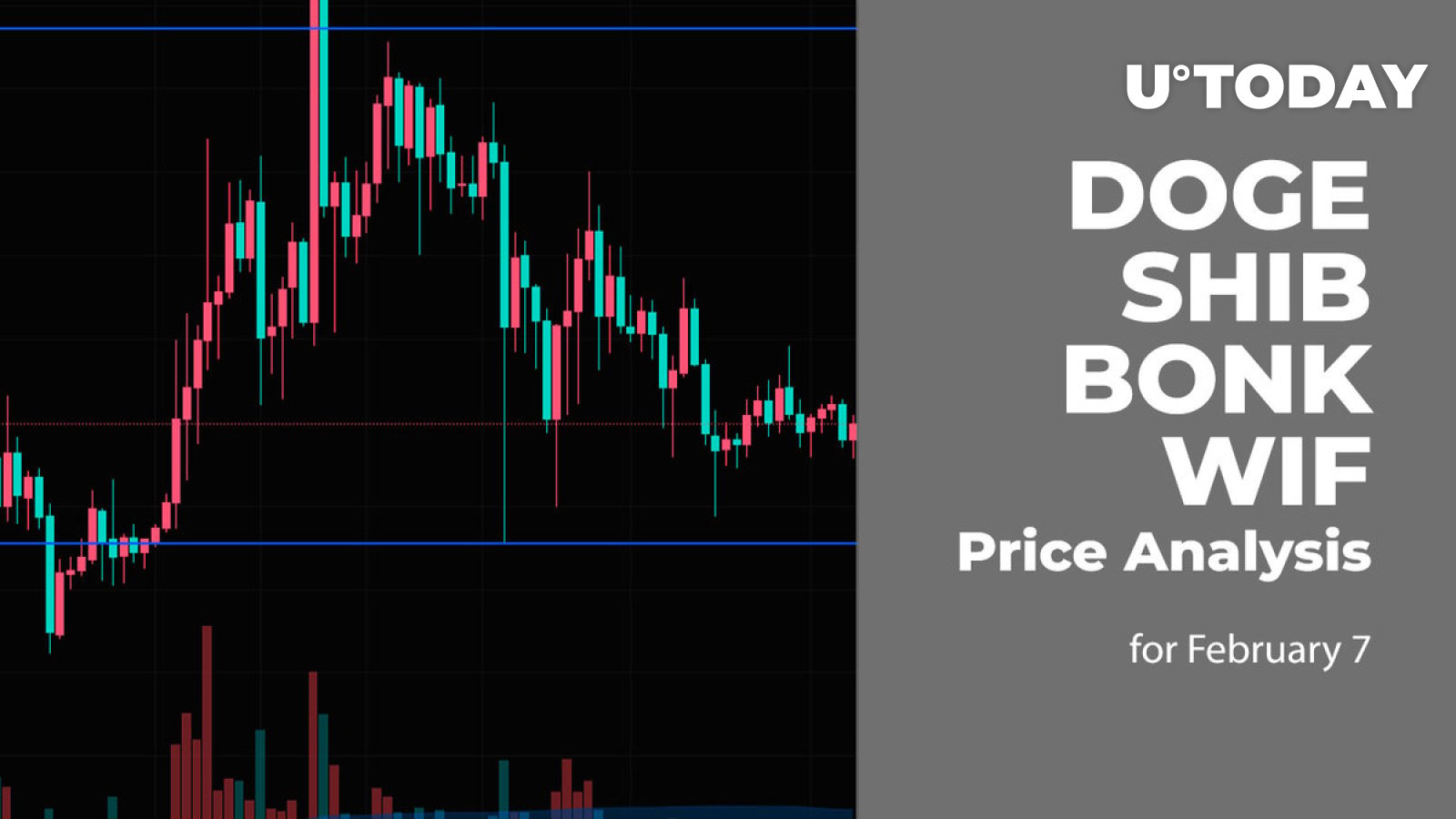 7 فوریه تجزیه و تحلیل قیمت DOGE، SHIB، BONK و WIF