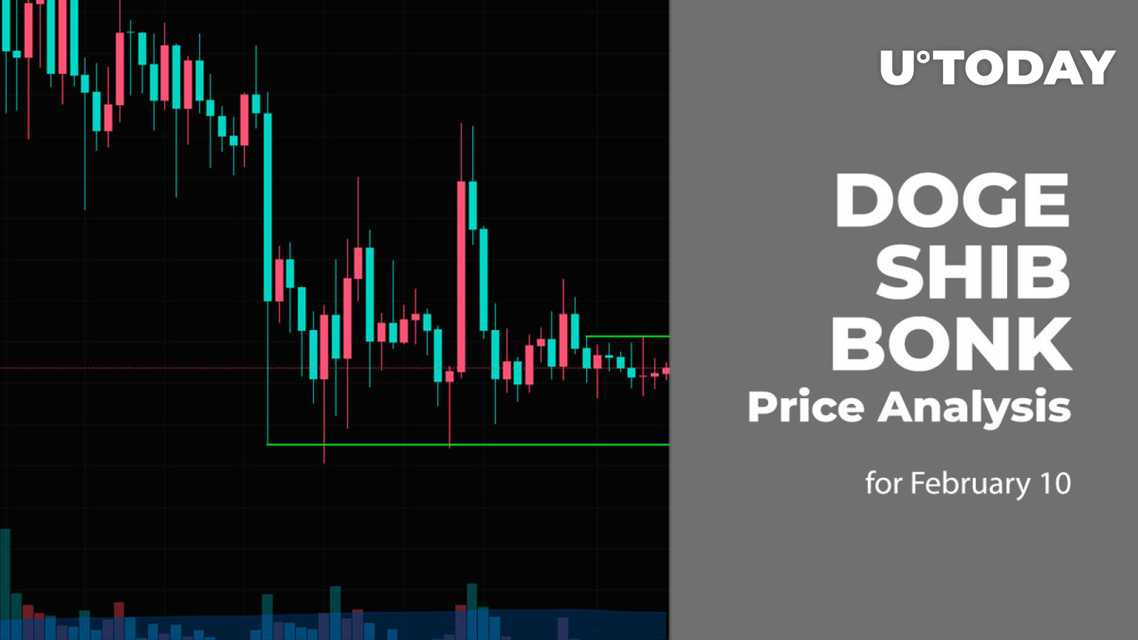 10 فوریه پیش بینی قیمت DOGE، SHIB و BONK