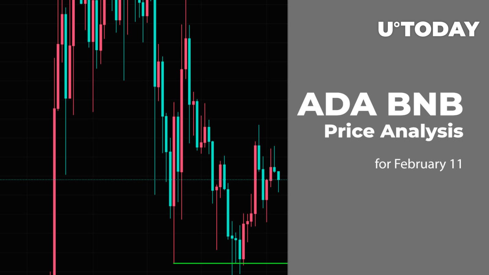 11 فوریه پیش بینی قیمت ADA و BNB