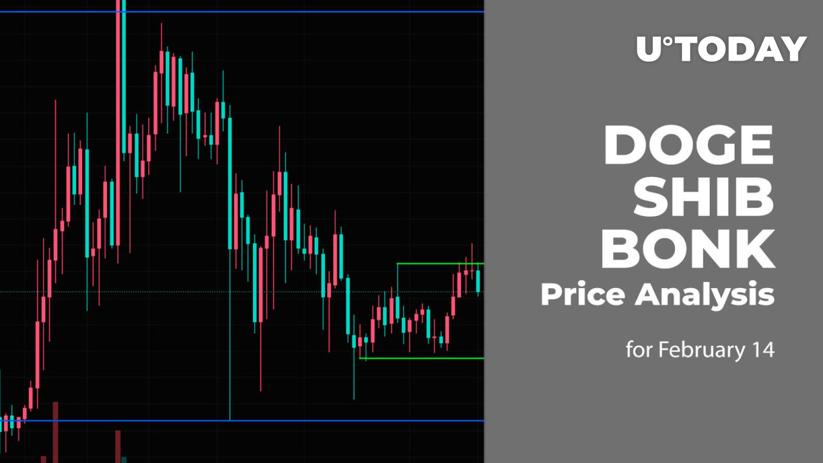 14 فوریه پیش بینی قیمت DOGE، SHIB و BONK