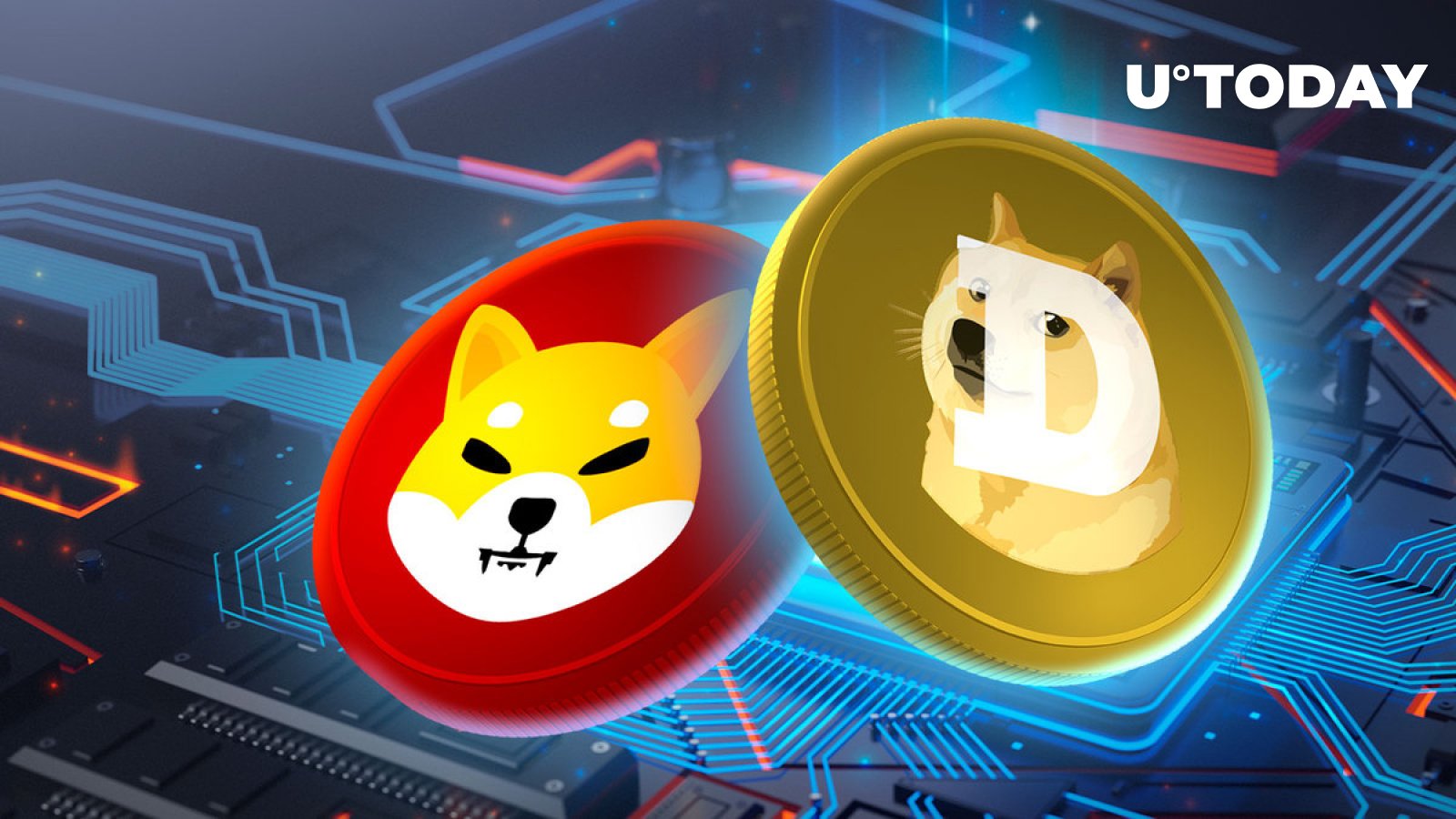 خالق Dogecoin دخالت در پروژه جدید Shiba Inu-Inspired را رد کرد