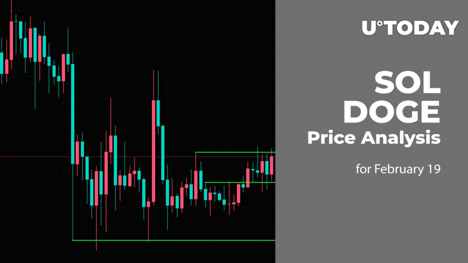 پیش بینی قیمت 19 فوریه SOL و DOGE