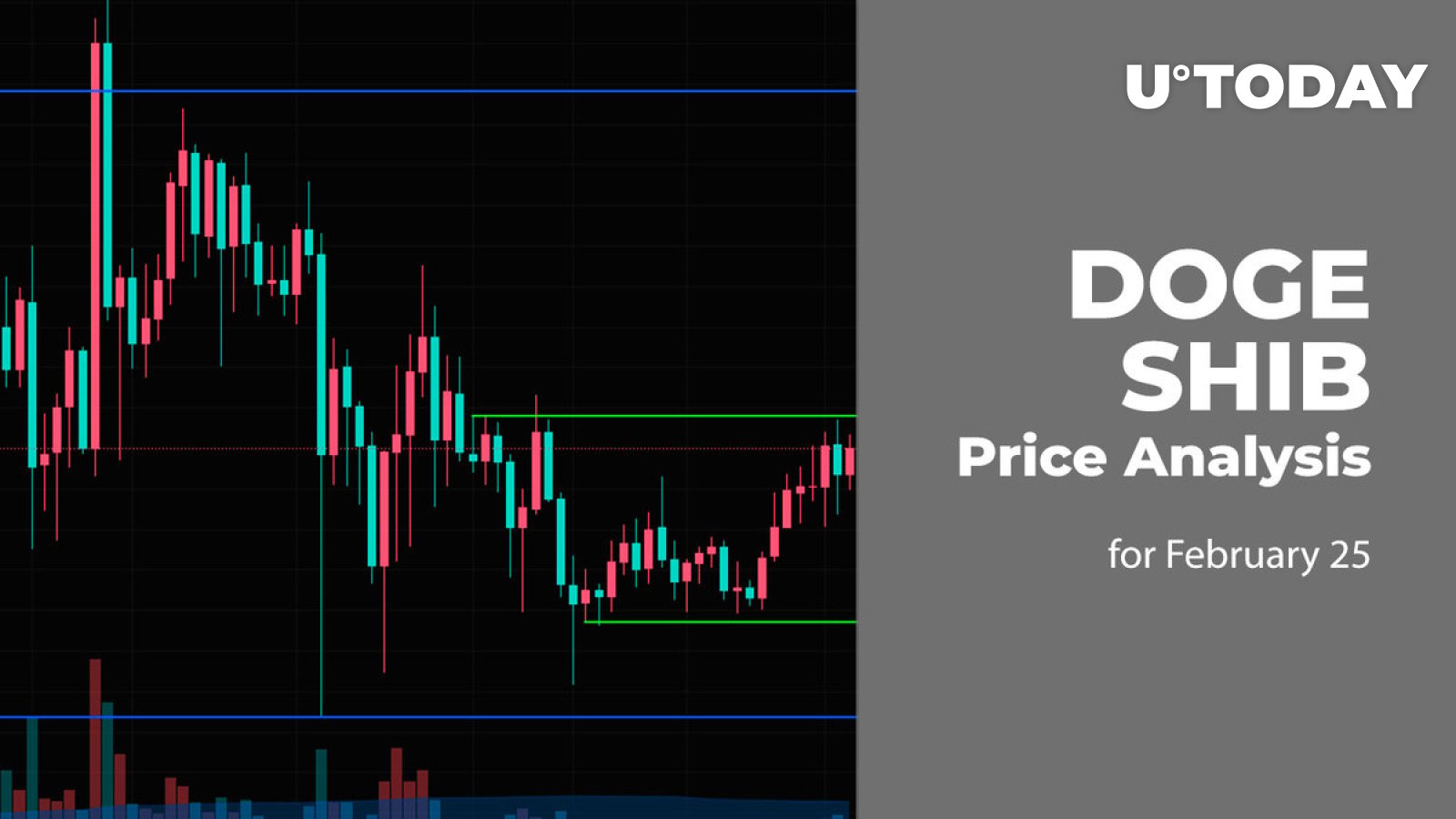 25 فوریه پیش بینی قیمت DOGE و SHIB