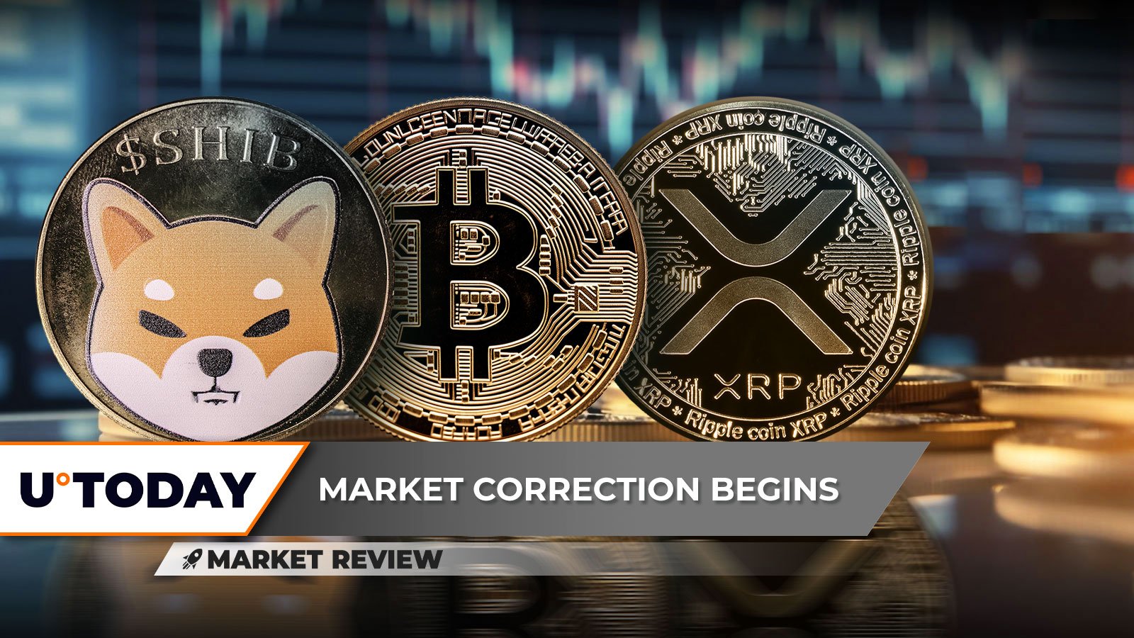حمام خون شیبا اینو (SHIB): 5 درصد ضرر، بیت کوین (BTC) 51000 دلار از دست می دهد، صلیب مرگ XRP کوچک؟