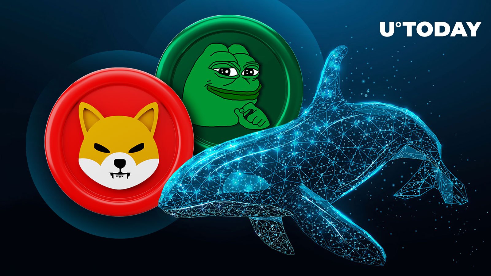 نهنگ با SHIB و PEPE قدم های بزرگی در بازار برمی دارد