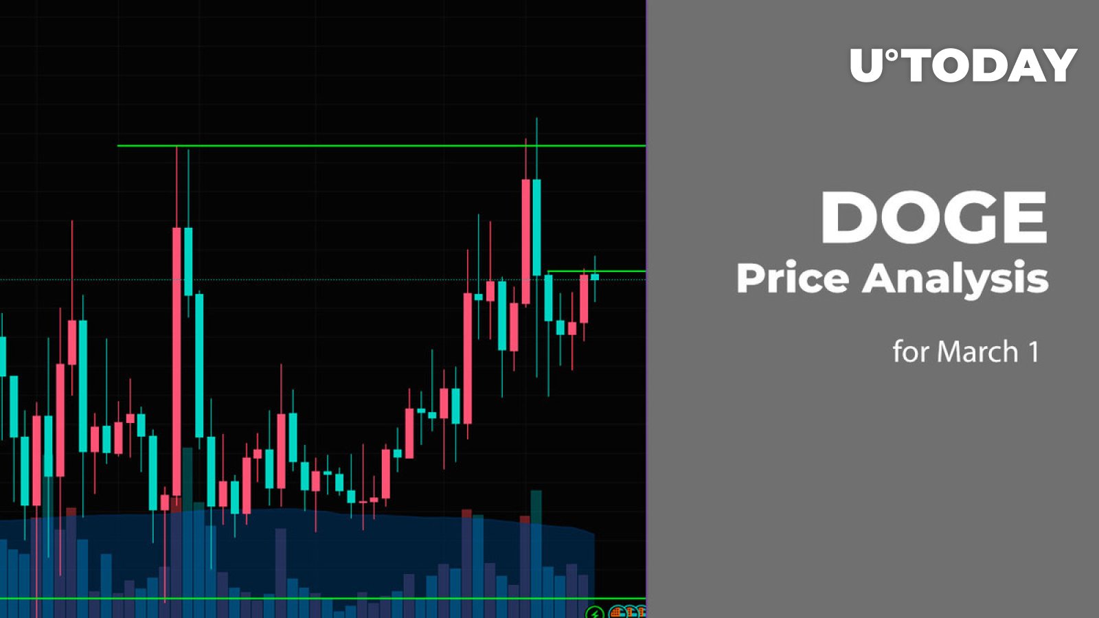 1 مارس پیش بینی قیمت DOGE