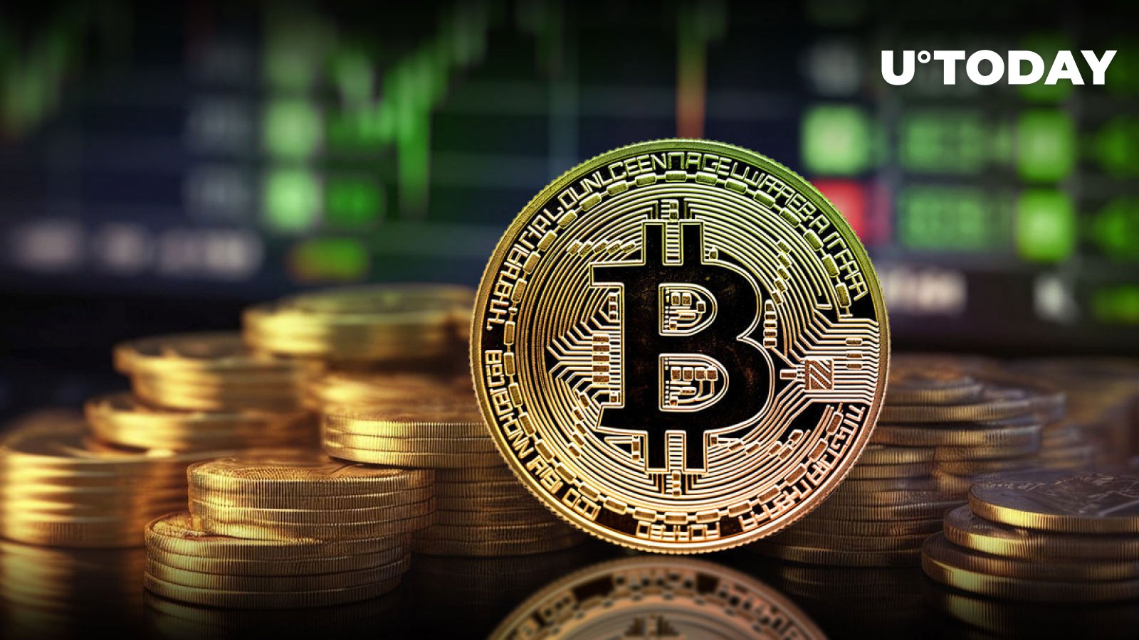 بیت کوین (BTC) محلی بالا: 97٪ از آدرس ها سودآور هستند