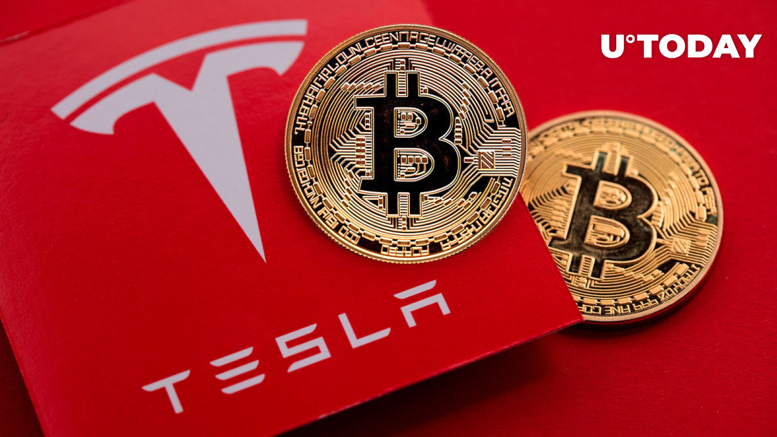 ذخایر بیت کوین تسلا و اسپیس ایکس ایلان ماسک فاش شد: داده ها