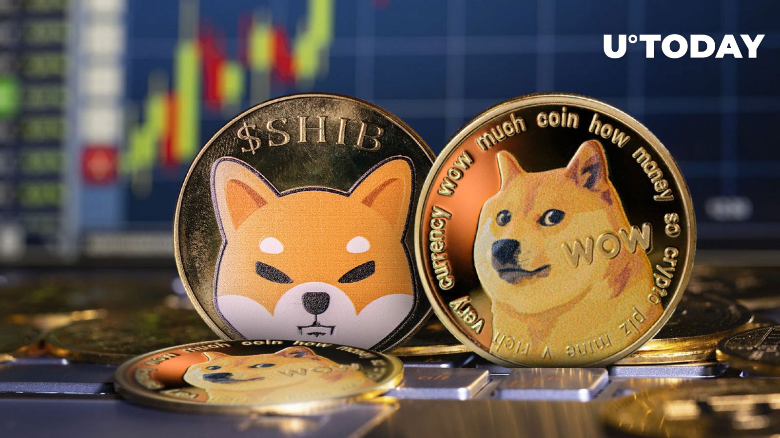 شیبا اینو (SHIB) و دوج کوین (DOGE) می توانند کاردانو را از صدر بیاورند: در اینجا چگونگی