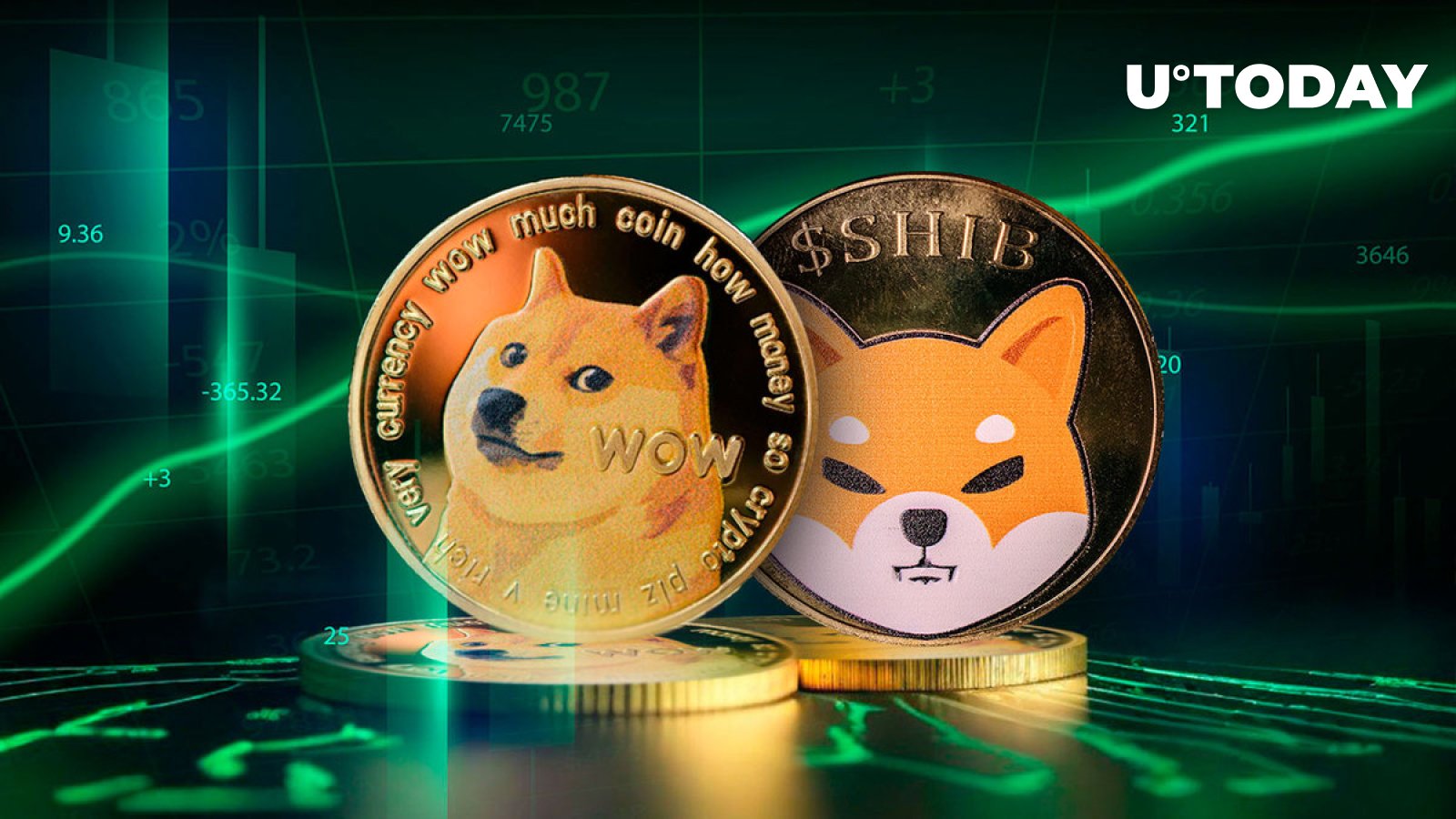 Shiba Inu (SHIB) و Dogecoin (DOGE) پیشتاز عرضه ۸۰ میلیارد دلاری Meme Coin هستند.