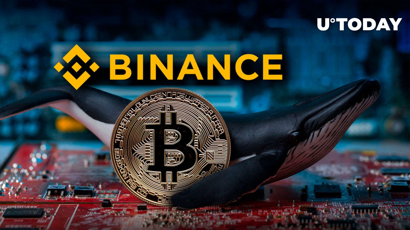 حرکت مرموز بیت کوین به بایننس دوباره قیمت بیت کوین را کاهش داد: جزئیات
