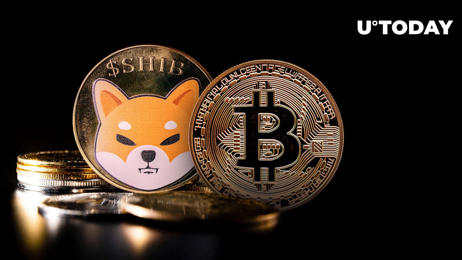 امتیاز افتخار BTC و SHIB Point در برنامه تلویزیونی محبوب ایالات متحده