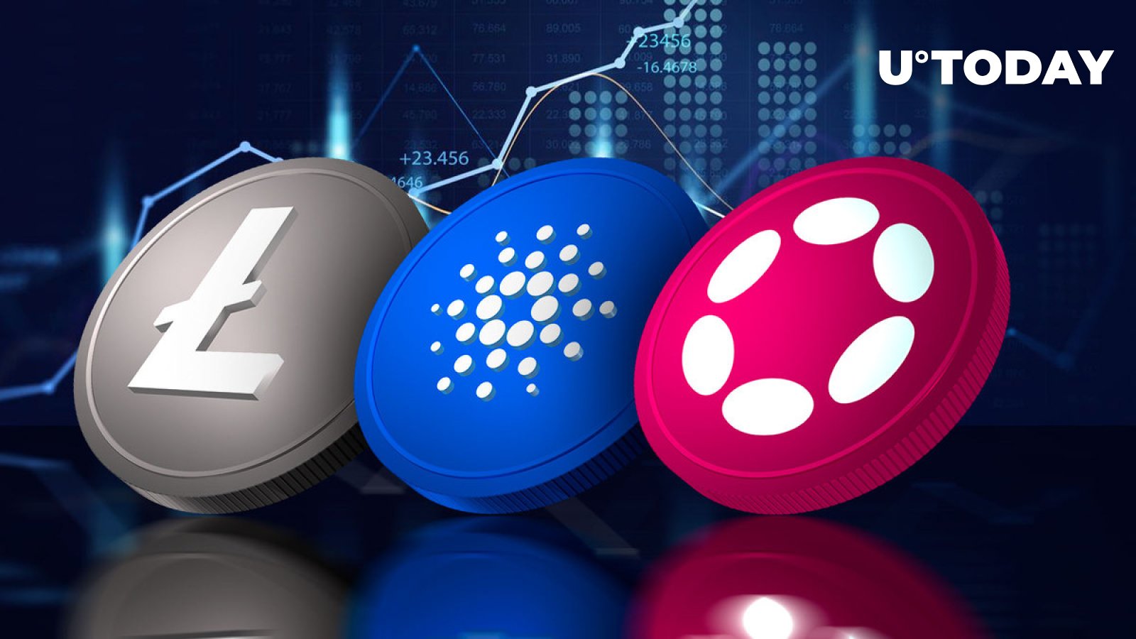پولکادوت، کاردانو و لایت کوین 6.3 میلیون دلار در انفجار بازار حماسی جذب کردند.