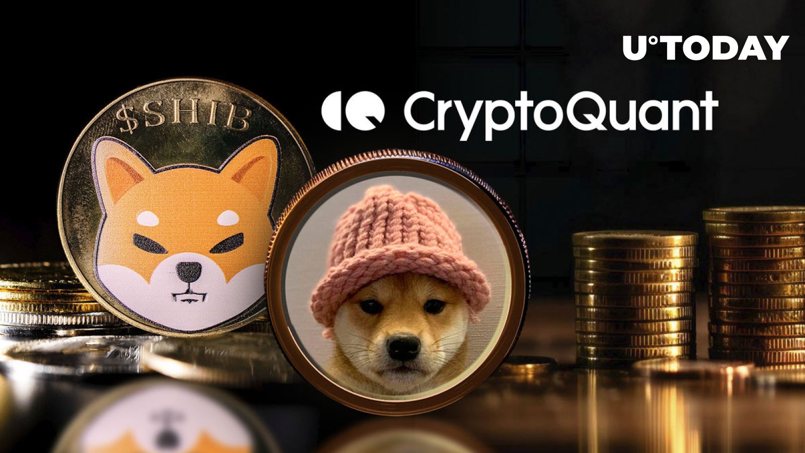 مدیر عامل CryptoQuant می‌گوید «کوین‌های میم به صنعت کریپتو آسیب می‌زنند» بین SHIB و WIF Hype