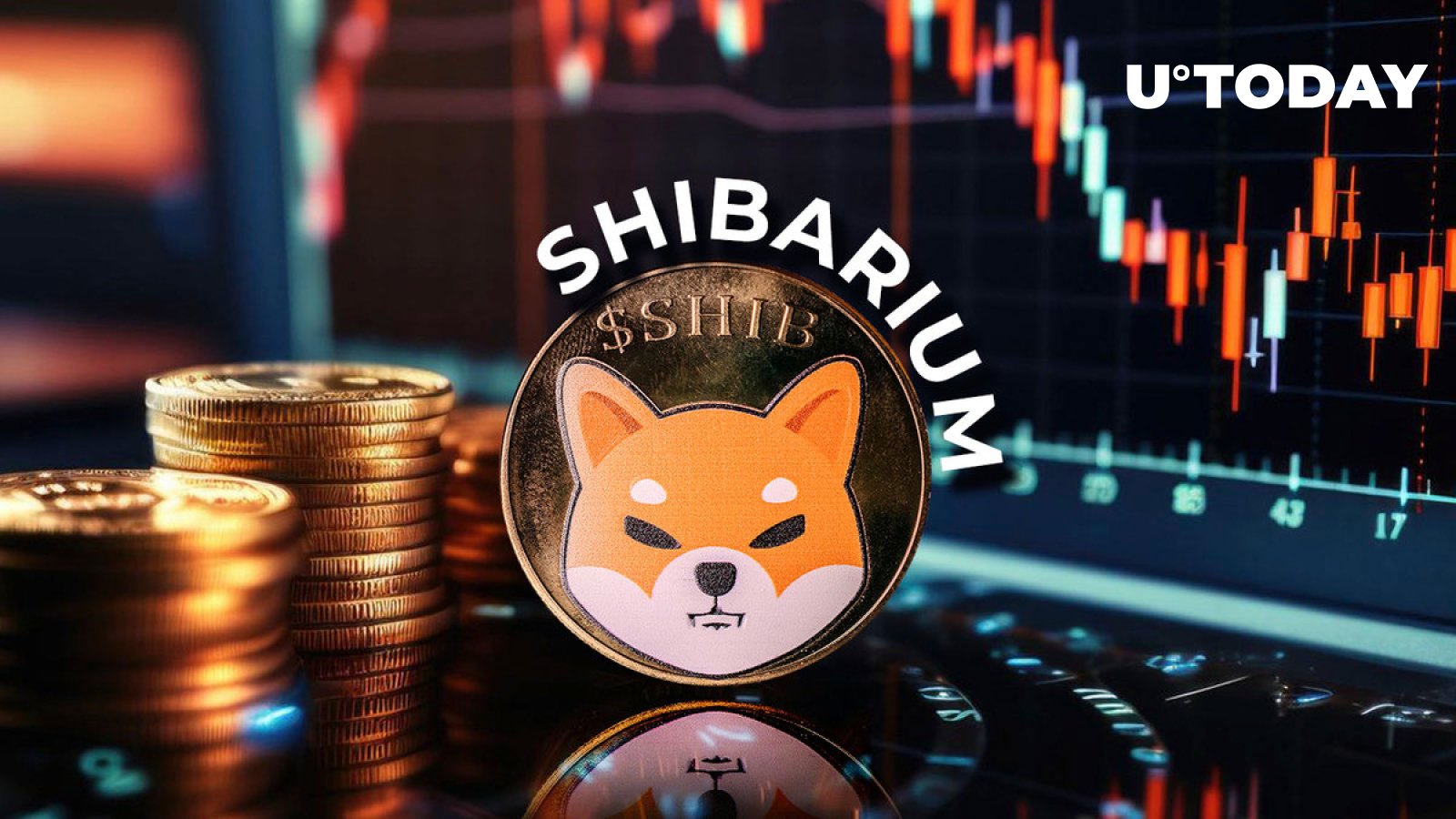 شیباریوم ۹۸.۴ درصد از معاملات را در میان کاهش قیمت SHIB از دست داد