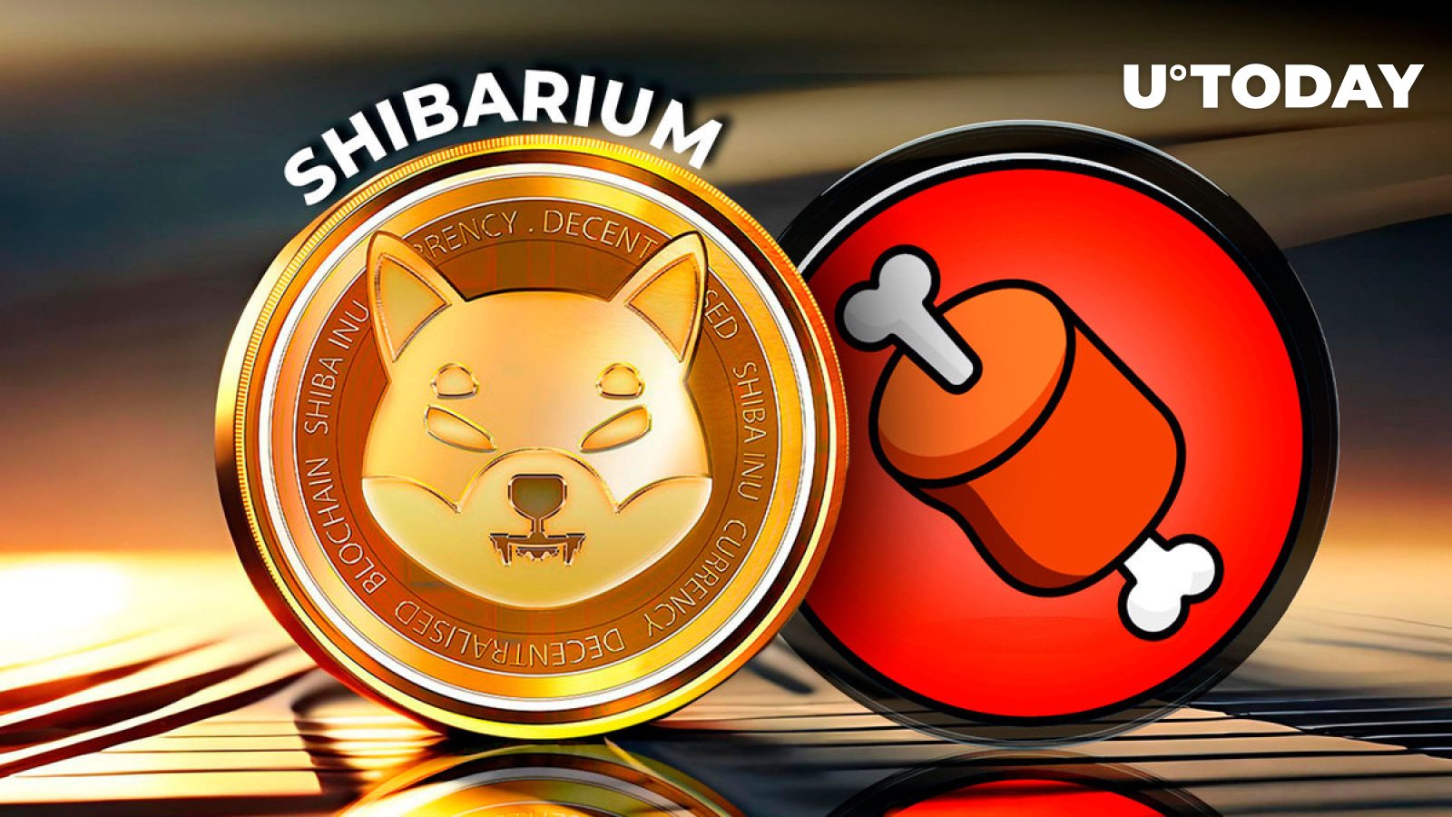 آشپزی چیزی با استخوان در Shibarium، توییت های تیم SHIB