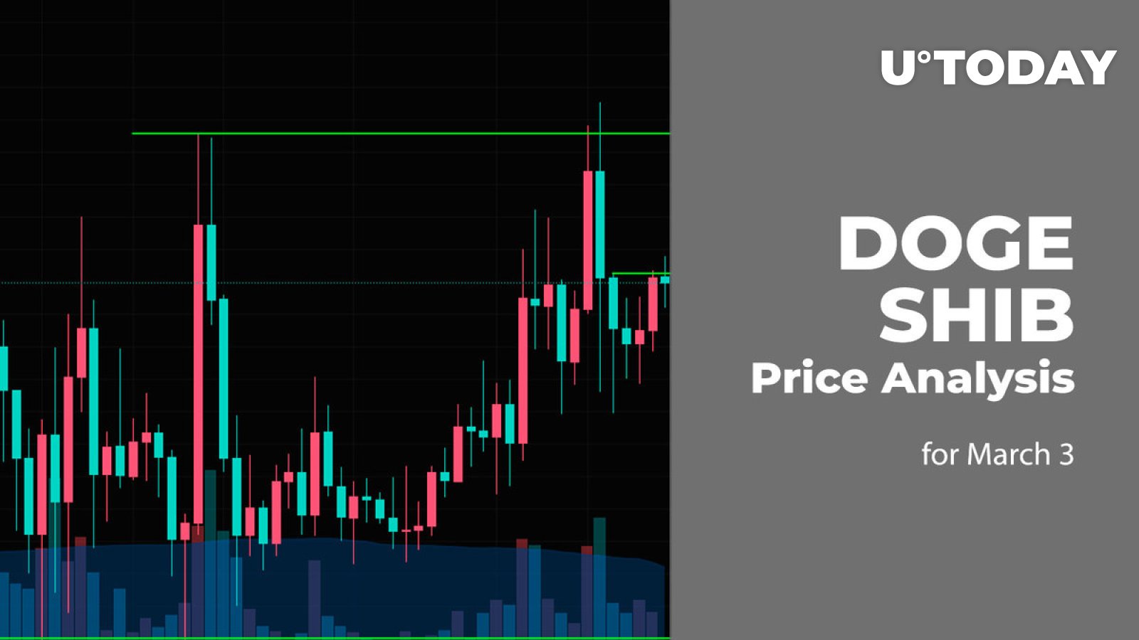 3 مارس DOGE و SHIB پیش بینی قیمت