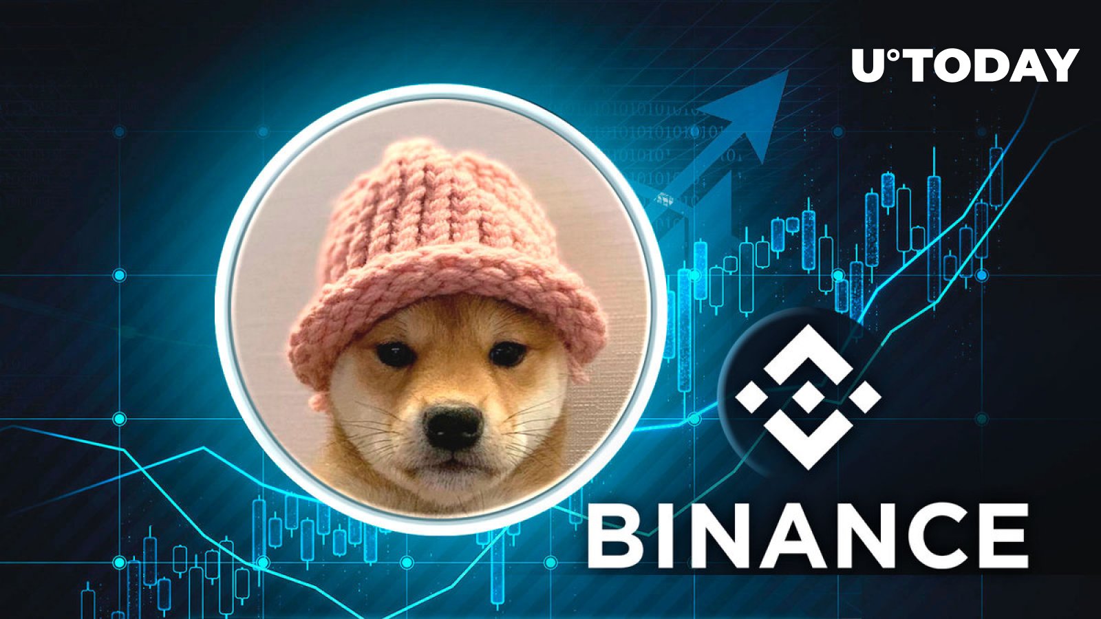 قیمت Dogwifhat (WIF) 27٪ افزایش یافت زیرا بایننس سرانجام سولانا میم کوین را لیست کرد