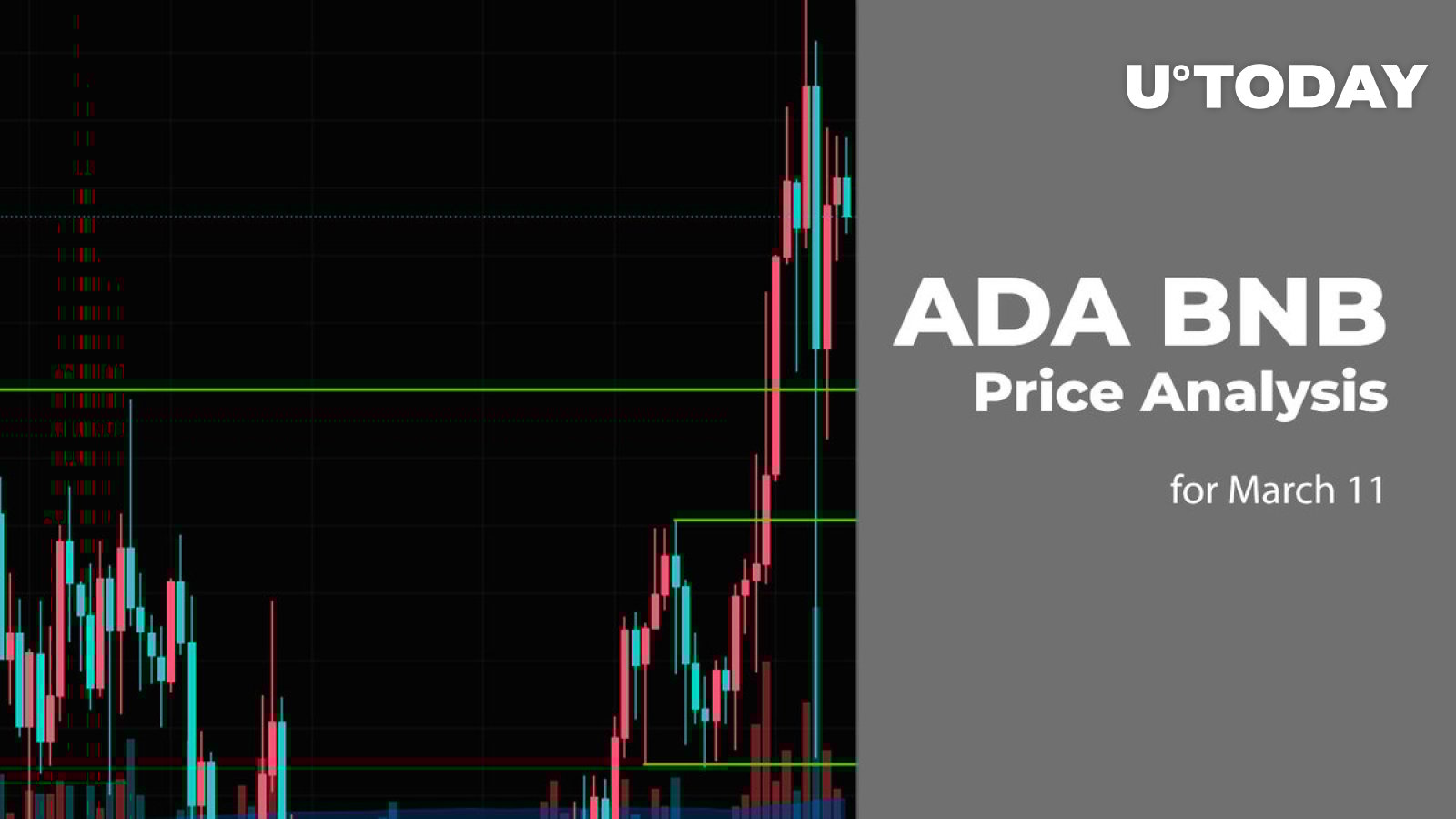 ۱۱ مارس پیش بینی قیمت ADA و BNB
