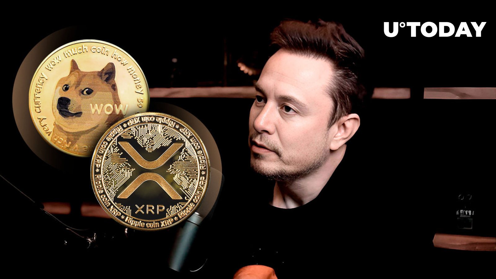 ایلان ماسک با توییت جالب خود واکنش انجمن XRP و Dogecoin را برانگیخت