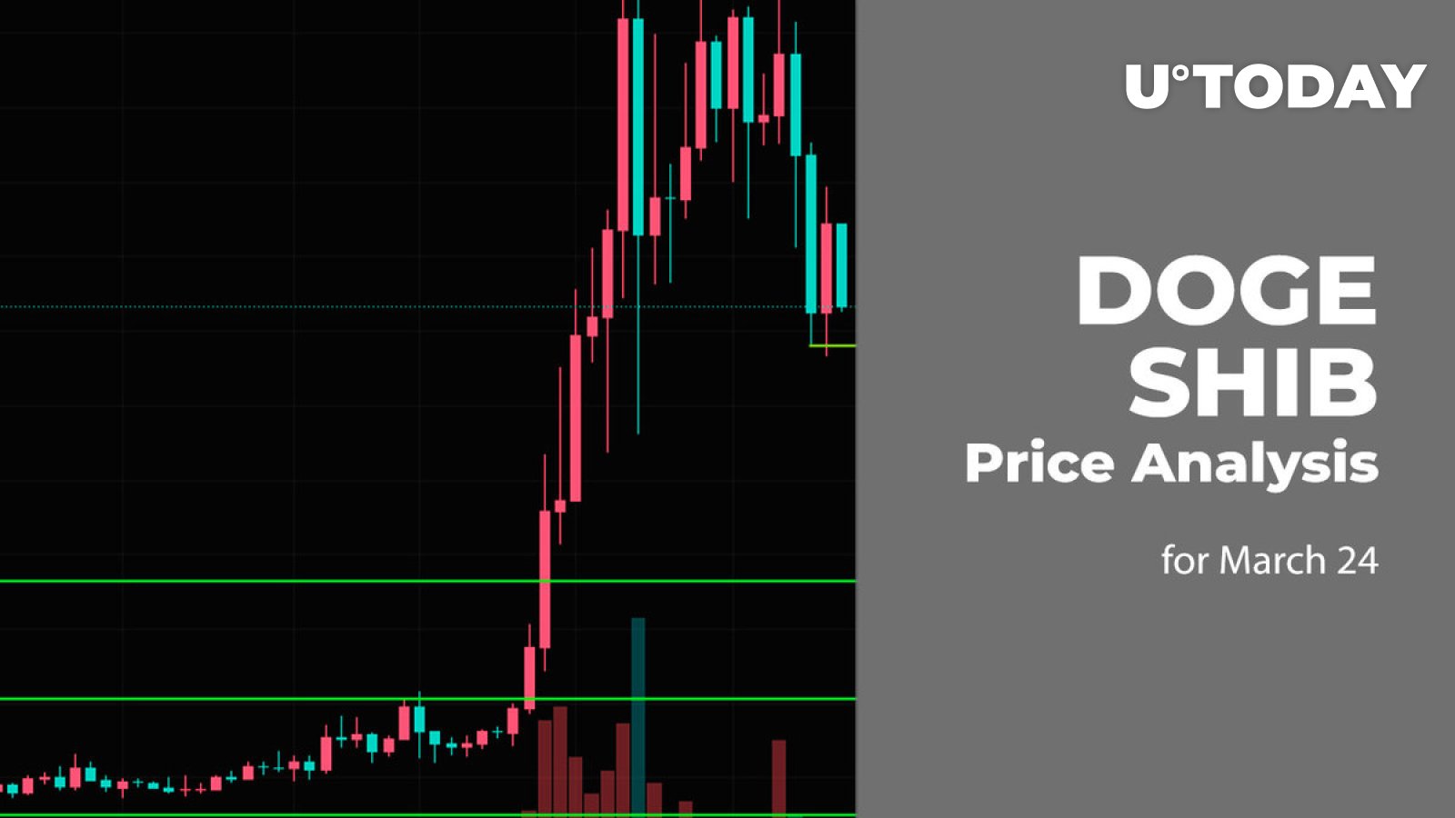 24 مارس DOGE و SHIB پیش بینی قیمت