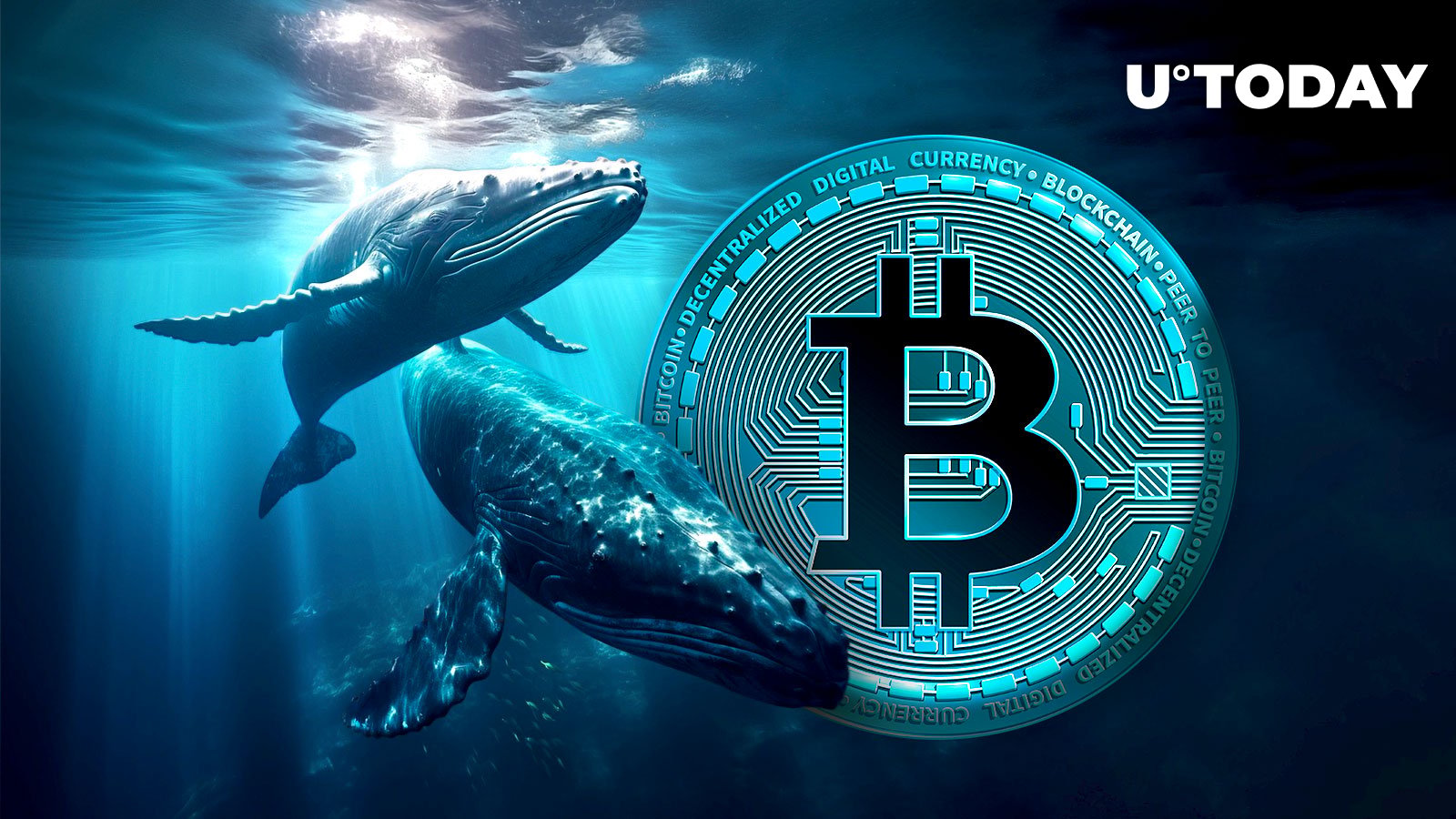 78 میلیون دلار بیت کوین توسط Major Whale به کراکن سپرده شد و بیت کوین افت کرد