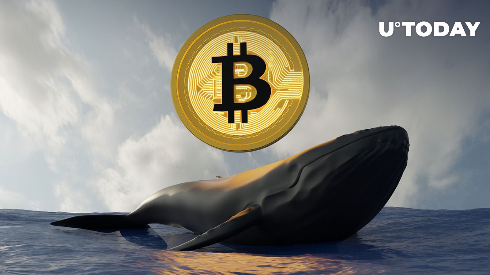 بیت کوین نهنگ 40 میلیون دلار بیت کوین از پایین خرید
