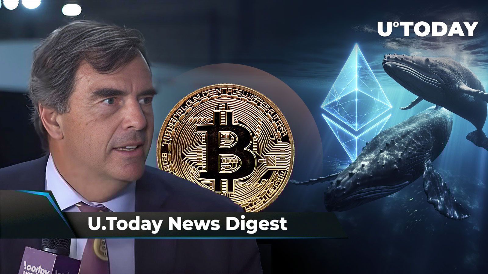 تیم دریپر بازده 10 ساله شرط BTC حماسی خود را فاش می کند، نشانگر بلندمدت ETH غافلگیرکننده نشان می دهد، 16 میلیون XRP توسط یک نهنگ در بورس کره خریداری شده است: Crypto News Digest توسط U.Today تیم دریپر بازده 10 ساله شرط BTC حماسی خود را فاش می کند، نشانگر بلندمدت ETH غافلگیرکننده نشان می دهد، 16 میلیون XRP توسط یک نهنگ در بورس کره خریداری شده است: Crypto News Digest توسط U.Today