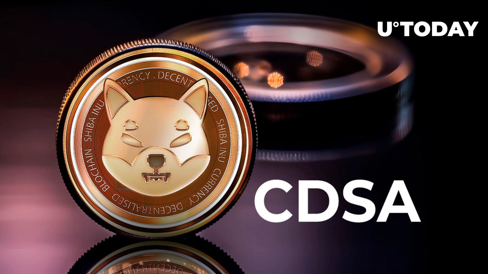 SHIB L2 با CDSA برای بهبود توزیع محتوا از طریق بلاک چین همکاری می کند.
